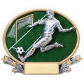 Soccer, Male 3D Oval Resin Awards -Large - 8-1/4" x 7" Tall